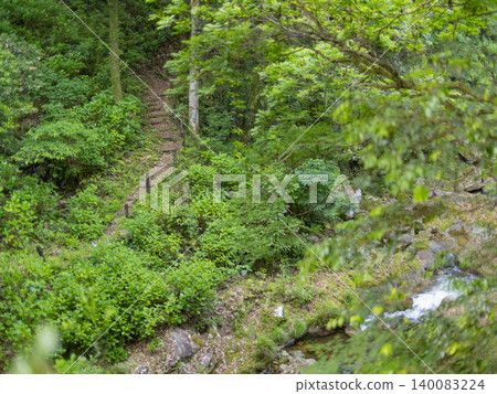 The path leading to the Mikaeri Falls in Saga Prefecture The path leading to the Mikaeri Falls in Saga Prefecture 140083224
