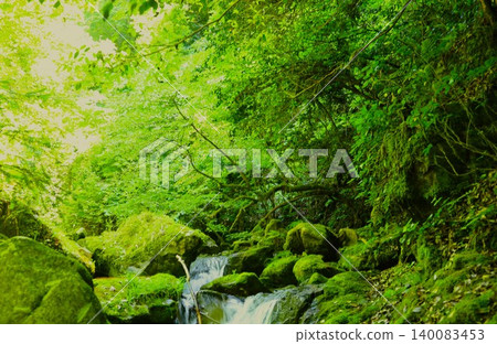 苔蘚的山間小溪 苔蘚的山間小溪 140083453