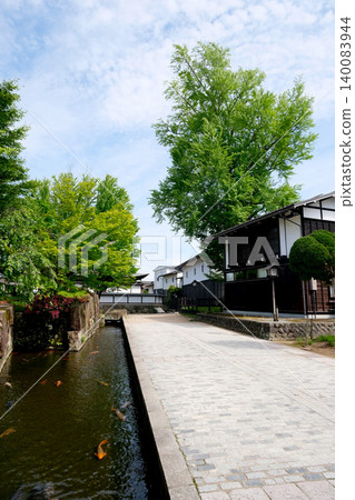 Gifu Prefecture, Hida City - Large Ginkgo Tree at Fukuzenji Temple Ruins, June 2025 Gifu Prefecture, Hida City - Large Ginkgo Tree at Fukuzenji Temple Ruins, June 2025 140083944