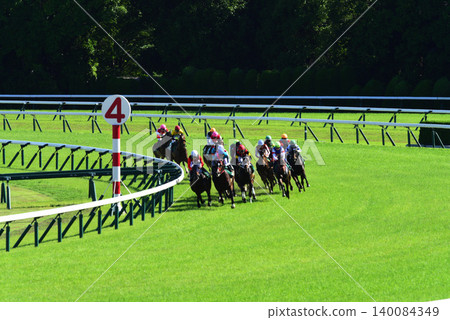 Kyoto Racecourse, turf course, fourth corner Kyoto Racecourse, turf course, fourth corner 140084349