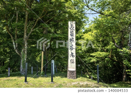 新城市長筱城主城遺址 新城市長筱城主城遺址 140084533