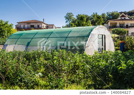 Greenhouse tunnel in community garden with vegetable crops and sustainable urban agriculture Greenhouse tunnel in community garden with vegetable crops and sustainable urban agriculture 140084827
