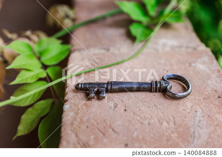 Antique skeleton key resting on brick surface with green vine leaves, vintage metal key symbolizing access 140084888