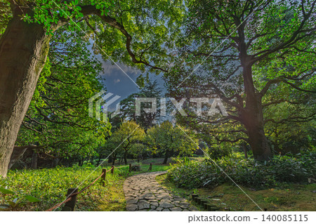 Lush green paths in Tonogayato Garden, covered with abundant trees. September 2023. Lush green paths in Tonogayato Garden, covered with abundant trees. September 2023. 140085115