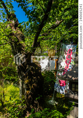 The blessings of Benten-sama at Chokenji Temple on the island: good fortune, wisdom, wealth, longevity, and improvement in skills. The blessings of Benten-sama at Chokenji Temple on the island: good fortune, wisdom, wealth, longevity, and improvement in skills. 140085241