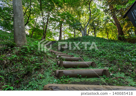 The log staircase in Tonogayato Garden, bathed in dappled sunlight, September 2023. The log staircase in Tonogayato Garden, bathed in dappled sunlight, September 2023. 140085418