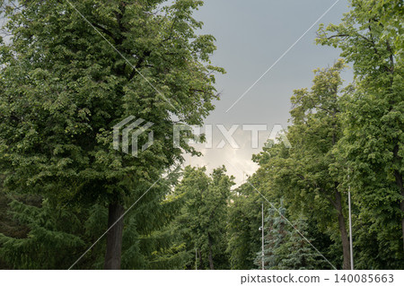Dense green trees fill Luzhniki park landscape beneath dramatic storm clouds after rain, natural urban scenery, evening light. Urban park, landscape, city environment, weather, Moscow destination Dense green trees fill Luzhniki park landscape beneath dramatic storm clouds after rain, natural urban scenery, evening light. Urban park, landscape, city environment, weather, Moscow destination 140085663