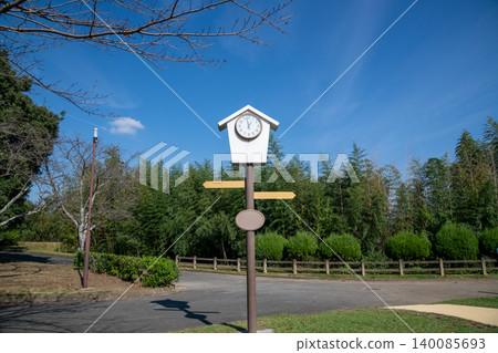 Park clock/cuckoo clock image 140085693