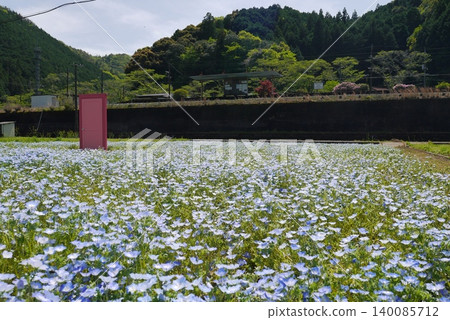 北川內附近的鐵軌旁,五月盛開著粉蝶。 北川內附近的鐵軌旁,五月盛開著粉蝶。 140085712