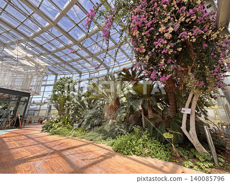 冰見市海灘植物園 140085796