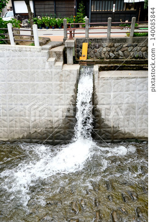 岐阜縣高山市東山步道附近的惠那子川14號,2025年6月 岐阜縣高山市東山步道附近的惠那子川14號,2025年6月 140085844