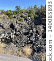 The rugged lava fields of Sakurajima and the natural landscape of plants that have taken root there with strength. 140085893