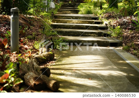 Sunlit Steps Path Through a Lush Garden Landscape Sunlit Steps Path Through a Lush Garden Landscape 140086530