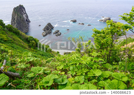 俯瞰島居海岸，日本百佳海灘之一 140086623