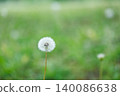 Grassland fluff and a green natural background 140086638