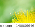 Macro shot of a yellow flower against a natural background. 140086646