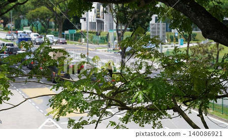 Urban View with Bird and Koel on Tree Branch 140086921