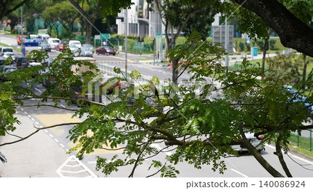 Bird on a branch overlooking street traffic in Singapore Bird on a branch overlooking street traffic in Singapore 140086924