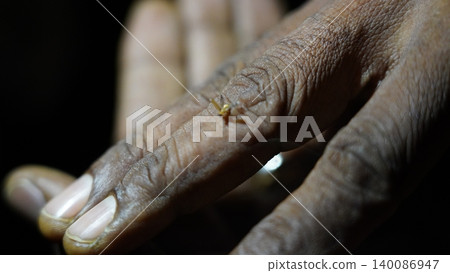 Tiny Insect on Hand Skin Close Up Detail Macro Photography Tiny Insect on Hand Skin Close Up Detail Macro Photography 140086947