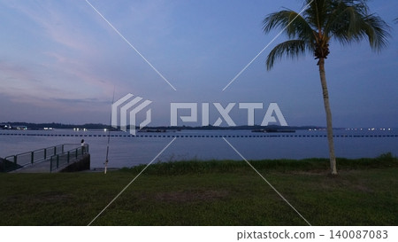 Calm Tropical Evening Fishing, Palm Tree, and Distant Lights Calm Tropical Evening Fishing, Palm Tree, and Distant Lights 140087083