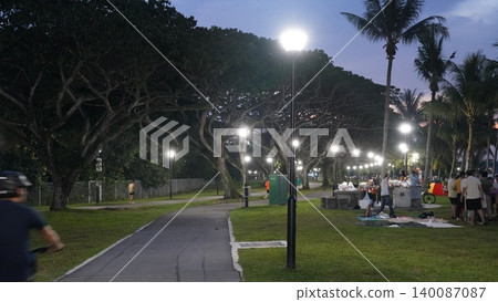 Evening Serenity Tropical Park Lights  Leisurely Stroll 140087087