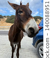 Donkey standing next to tourist car on roadside waiting for treats. Family holiday travel and wildlife safari adventure in Cyprus 140088951