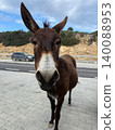 Wild donkey on roadside looking at camera waiting for tourist. Beautiful landscape road trip safari excursion concept in Cyprus 140088953