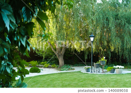 Serene garden scene with weeping willow and lush green lawn 140089038