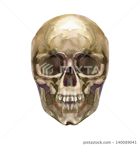 Hand drawn watercolor human skull illustration for Halloween party decor, t-shirt prints, tattoo design and scary greeting cards. Hand drawn watercolor human skull illustration for Halloween party decor, t-shirt prints, tattoo design and scary greeting cards. 140089041