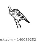 Bird on branch sketch, hand drawn small sparrow perched on twig with detailed feathers. Wildlife animal doodle, nature study ink drawing, songbird avian creature black white art 140089252