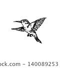 Hummingbird flight sketch, hand drawn tiny bird hovering with spread wings and long beak. Wildlife animal doodle art, nature study ink drawing, fast flying avian creature black white graphic 140089253