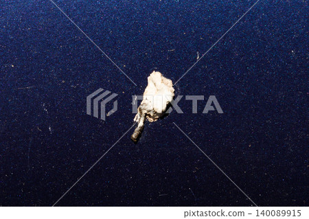 Bird droppings Bird droppings 140089915