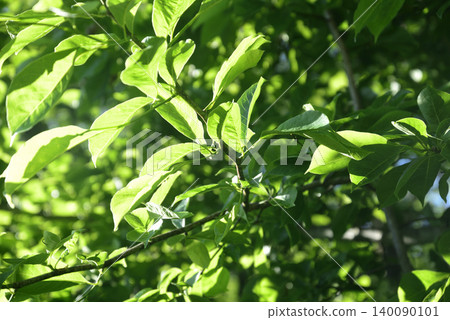 環保背景資料 環保背景資料 140090101