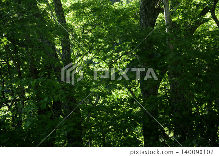 Eco-friendly background material Eco-friendly background material 140090102
