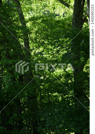 Eco-friendly background material Eco-friendly background material 140090103