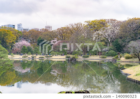 Spring cherry blossoms reflected in the pond of Rikugien Garden Spring cherry blossoms reflected in the pond of Rikugien Garden 140090323