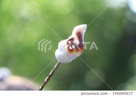 Toasted Marshmallow on a Stick Toasted Marshmallow on a Stick 140090837