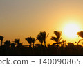 Tropical Gold Sunset with Palm Tree Silhouettes 140090865