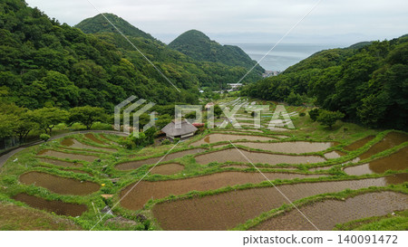 Rice terrace of Izu Izu Rice terrace of Izu Izu 140091472