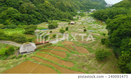 伊豆伊豆的水稻梯田 140091473