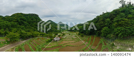 Rice terrace of Izu Izu Rice terrace of Izu Izu 140091474