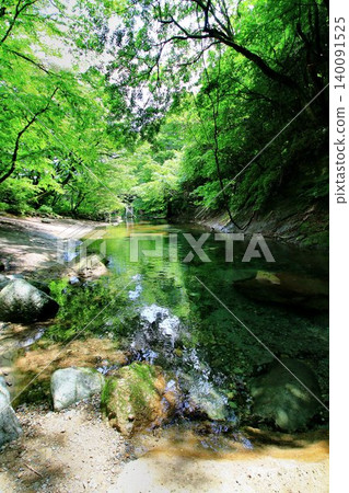 The crystal-clear stream that nourishes the Nasu Highlands... "Kinomata Valley and Kinomata River" The crystal-clear stream that nourishes the Nasu Highlands... "Kinomata Valley and Kinomata River" 140091525