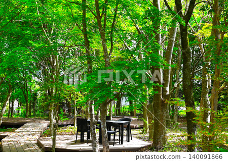 Cafe in the forest Cafe in the forest 140091866