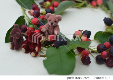 Juneberry wreath and teddy bear Juneberry wreath and teddy bear 140091892