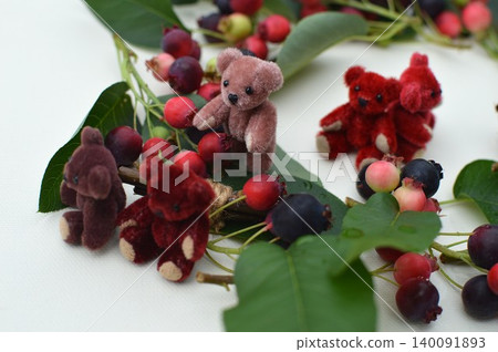 Juneberry wreath and teddy bear Juneberry wreath and teddy bear 140091893