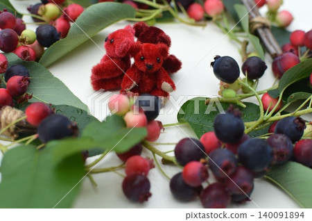 Juneberry wreath and teddy bear Juneberry wreath and teddy bear 140091894