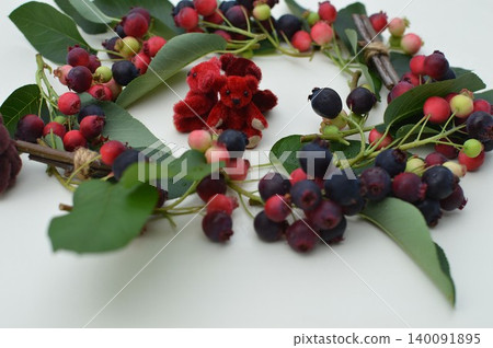 Juneberry wreath and teddy bear Juneberry wreath and teddy bear 140091895