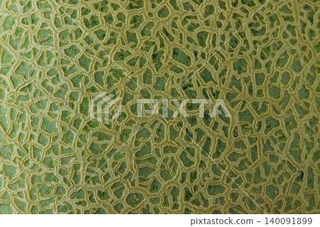 Macro-photograph of the netting pattern on an Andes melon. Macro-photograph of the netting pattern on an Andes melon. 140091899