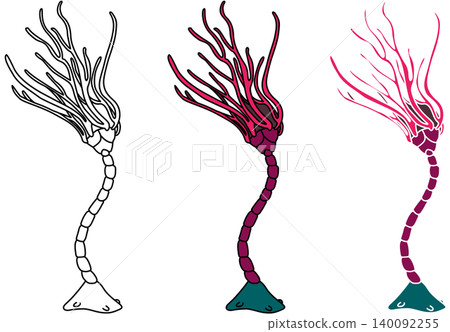 一幅描繪石炭紀時期海百合(Abrotocrinus)的風格化插圖。 一幅描繪石炭紀時期海百合(Abrotocrinus)的風格化插圖。 140092255
