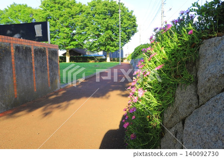 Walking paths installed within the park Walking paths installed within the park 140092730
